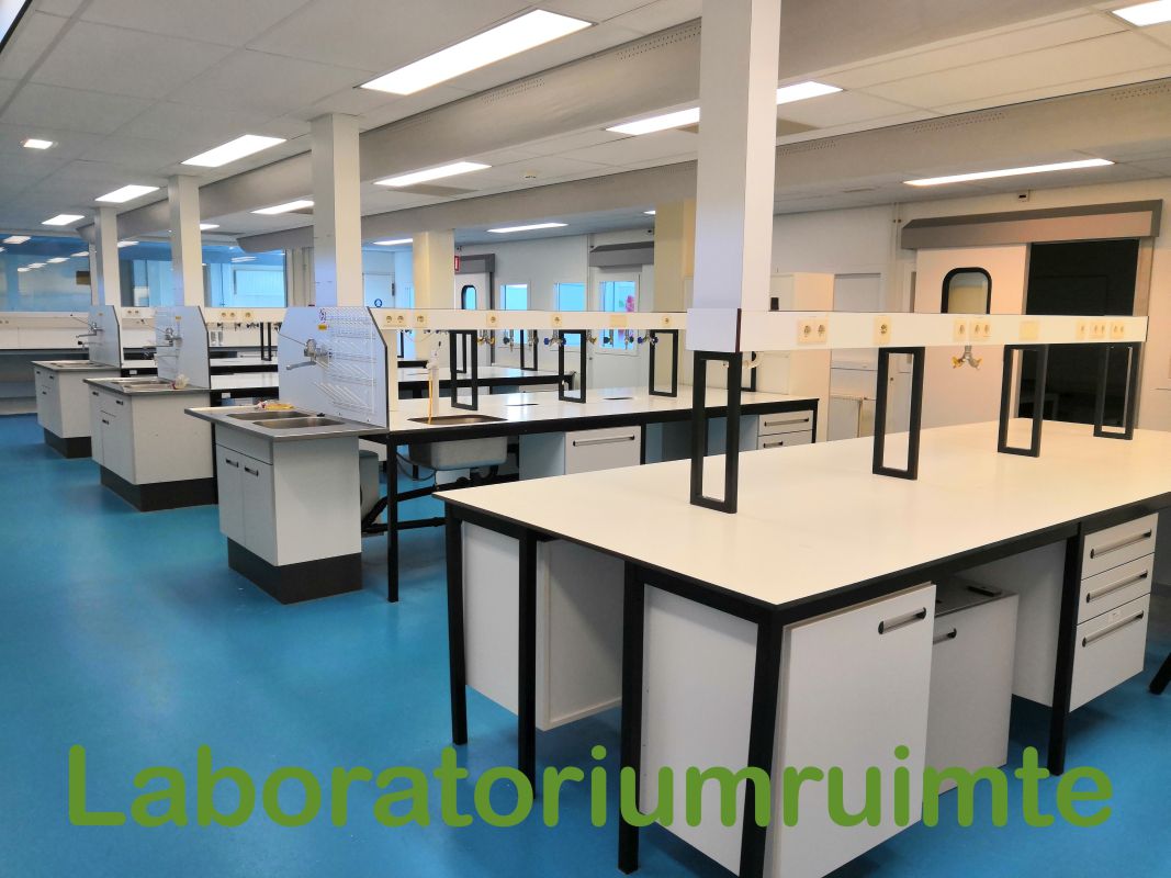 Lab